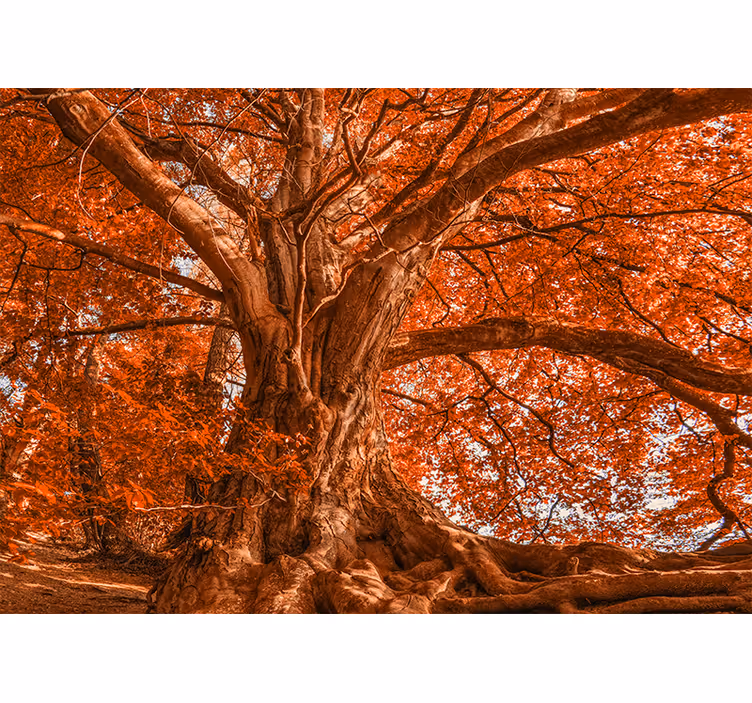 Tapisserie murale arbre arbre d'automne majestueux - TenStickers
