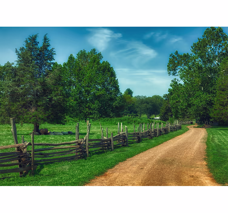 Tapisserie murale paysage chemin verdoyant vibrant - TenStickers