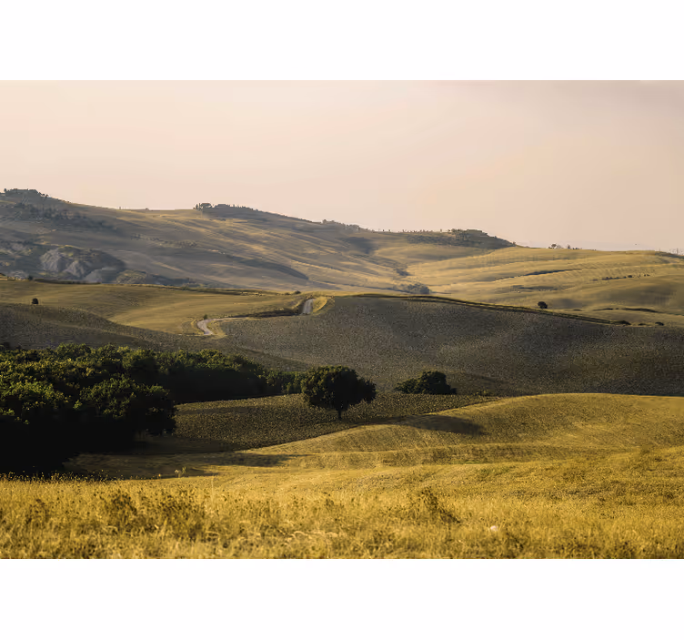 Tapisserie murale paysage collines ondulées - TenStickers