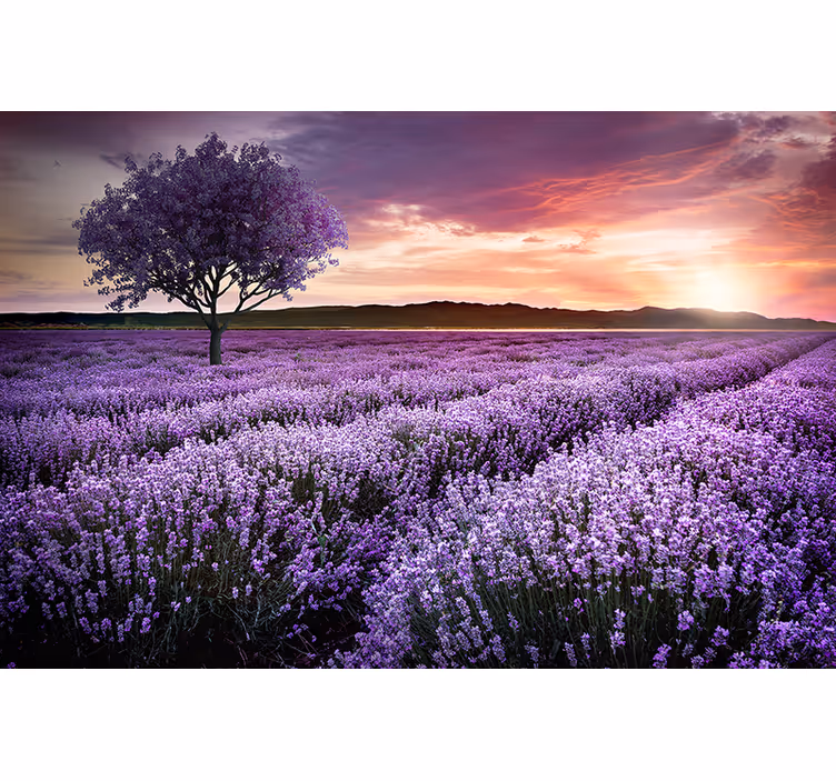 Papier peint nature Arbre fantastique violet avec des fleurs - TenStickers