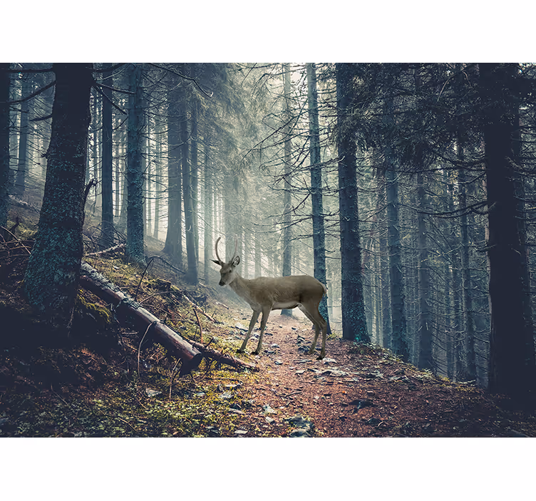 Tapisserie forêt cerf dans les bois - TenStickers