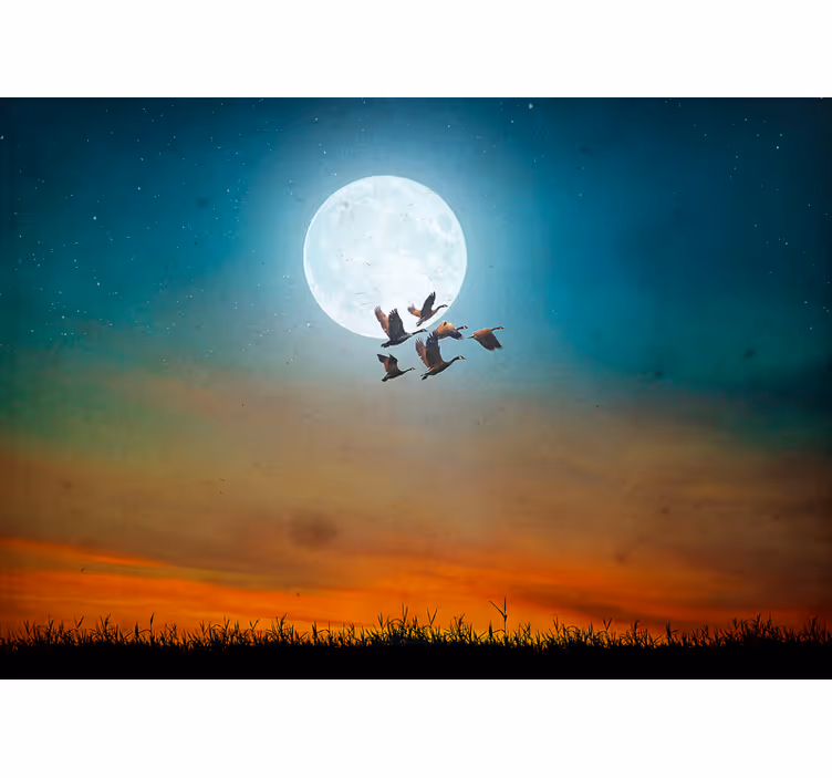 Tapisserie nature ciel nocturne étoilé - TenStickers
