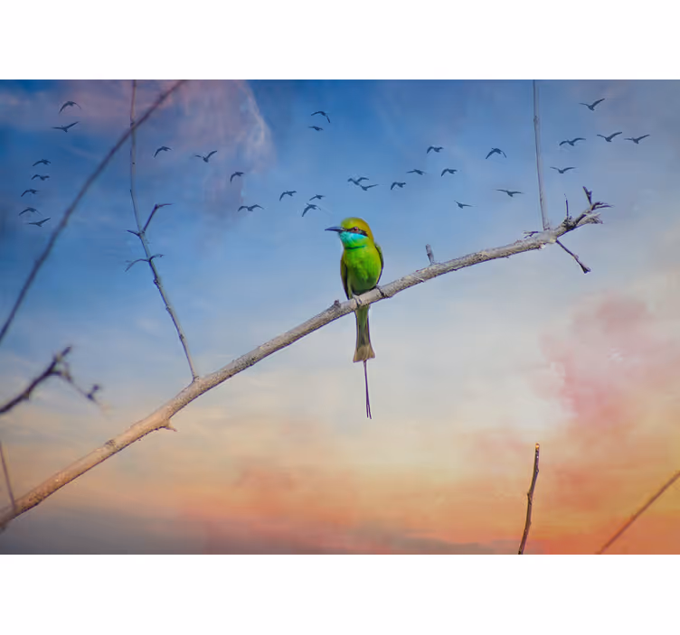 Papier peint mural d'animaux Oiseau sur branche - TenStickers