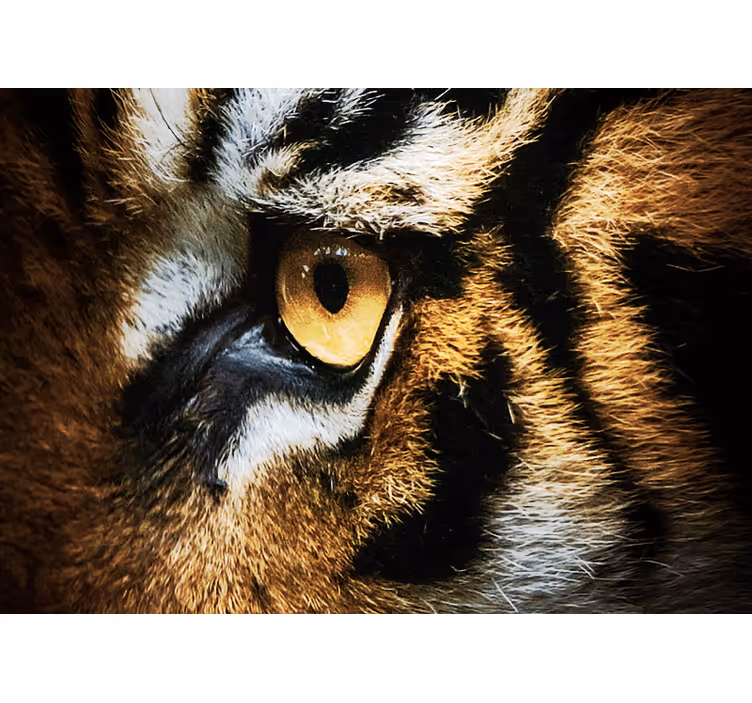 Tapisserie murale animaux regard intense du tigre - TenStickers