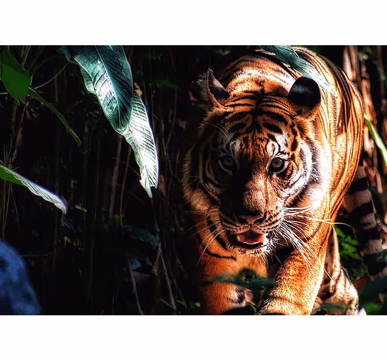 Tapisserie murale animaux tigre majestueux en chasse - TenStickers