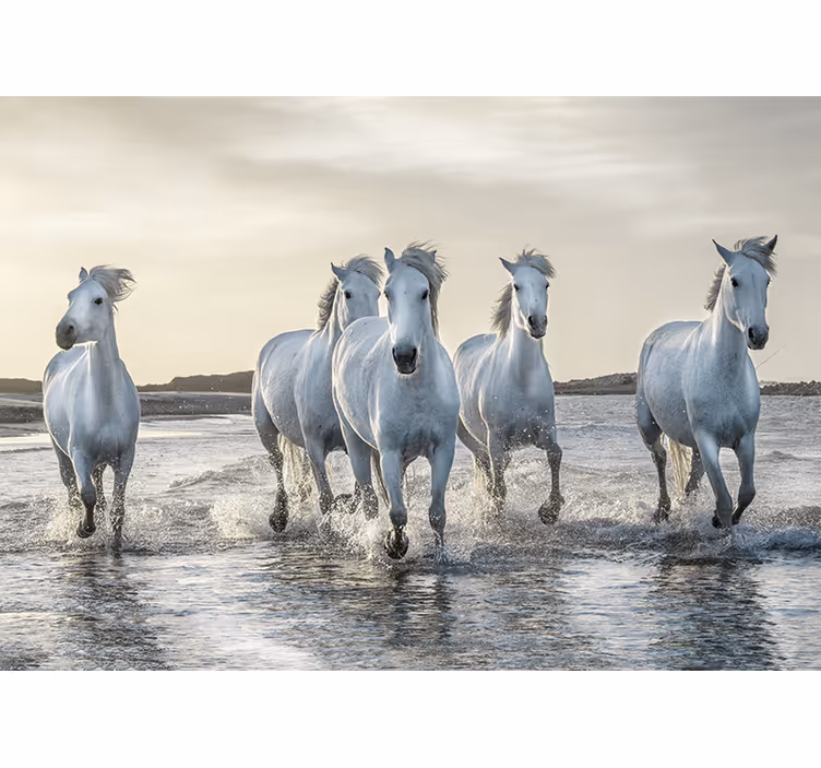 Tapisserie murale chevaux blancs au galop - TenStickers