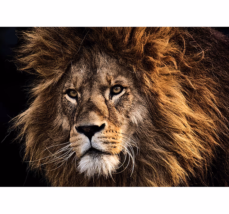 Papier peint mural lion énorme visage de lion réaliste - TenStickers
