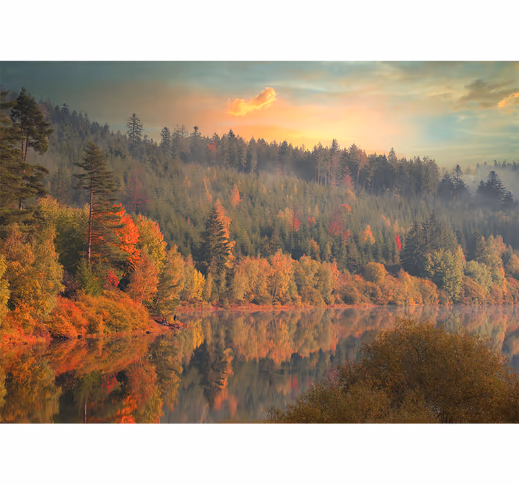 Papier peint mural arbres Arbres colorés et lac calme - TenStickers