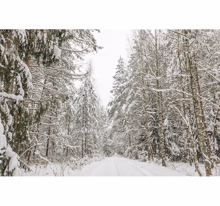 Tapisserie murale forêt jour d'hiver - TenStickers
