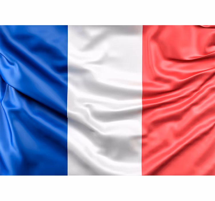 Tapisserie villes et pays drapeau français - TenStickers