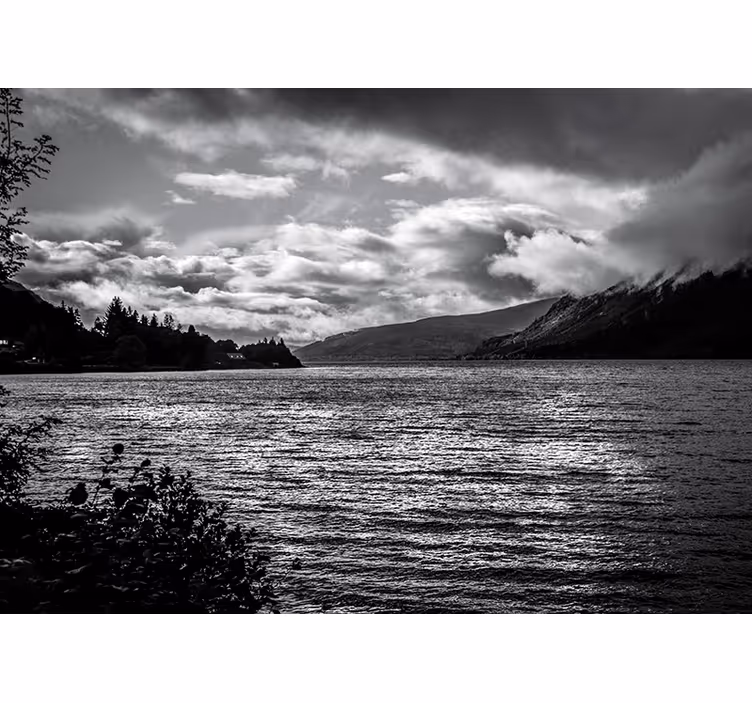 Tapisserie murale paysage vue sur le lac monochrome - TenStickers