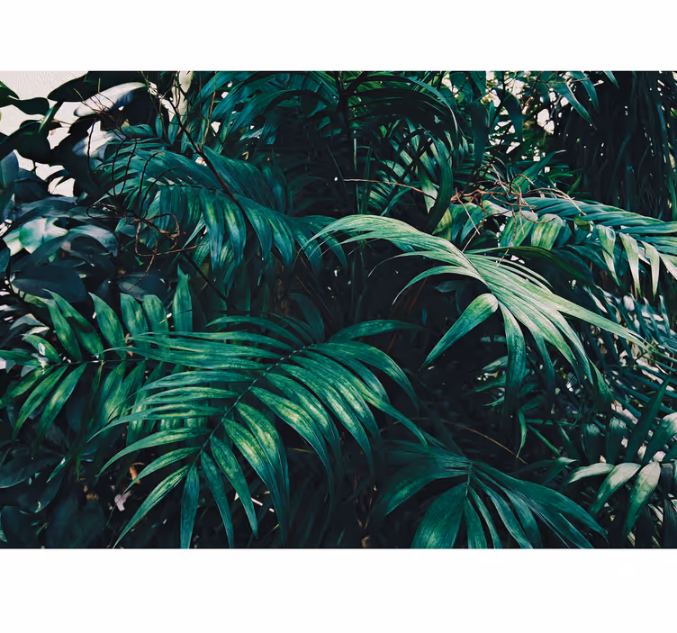 Papier peint nature Plantes tropicales amazoniennes - TenStickers