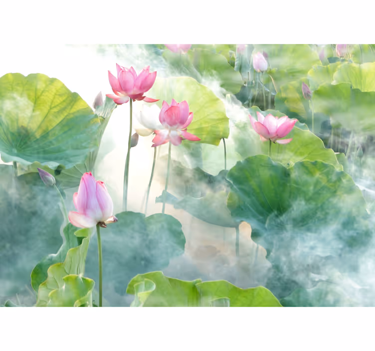 Papier peint mural de fleurs Fleurs de lotus paisibles - TenStickers