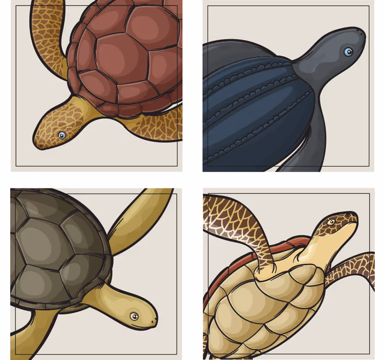 Sous verre geek illustrations de tortues colorées - TenStickers