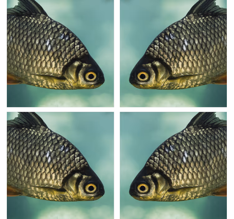 Dessous de verre Poisson réaliste - TenStickers