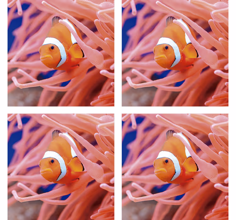 Sous verre moderne scène sous-marine de poisson clown - TenStickers