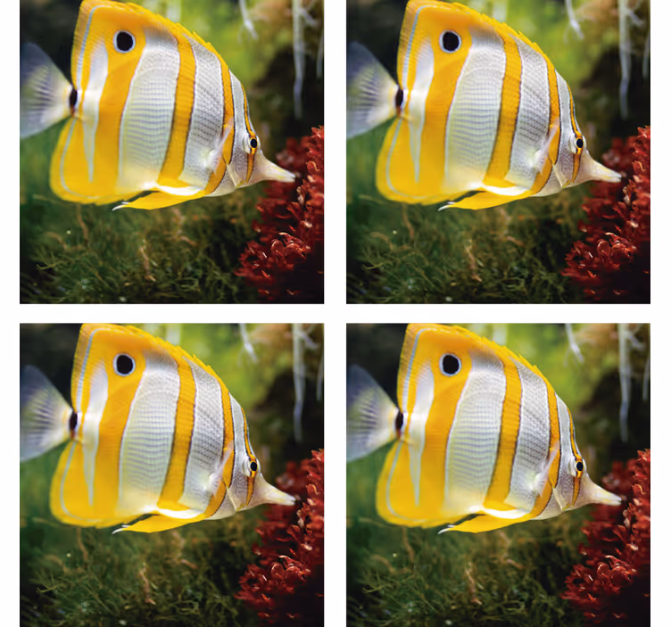 Dessous de verre poisson blanc et jaune - TenStickers