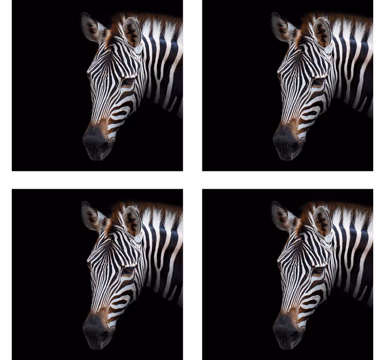 Sous verre moderne illustration de tête de zèbre - TenStickers