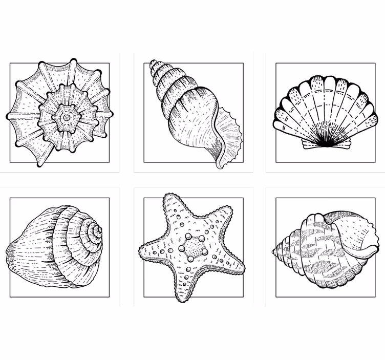 Vie marine et coquillages sous-verres de la vie marine - TenStickers