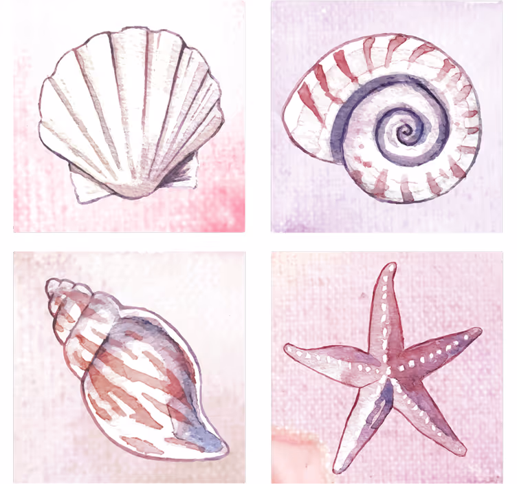 Sous verre aquarelles de coquillages naturels - TenStickers