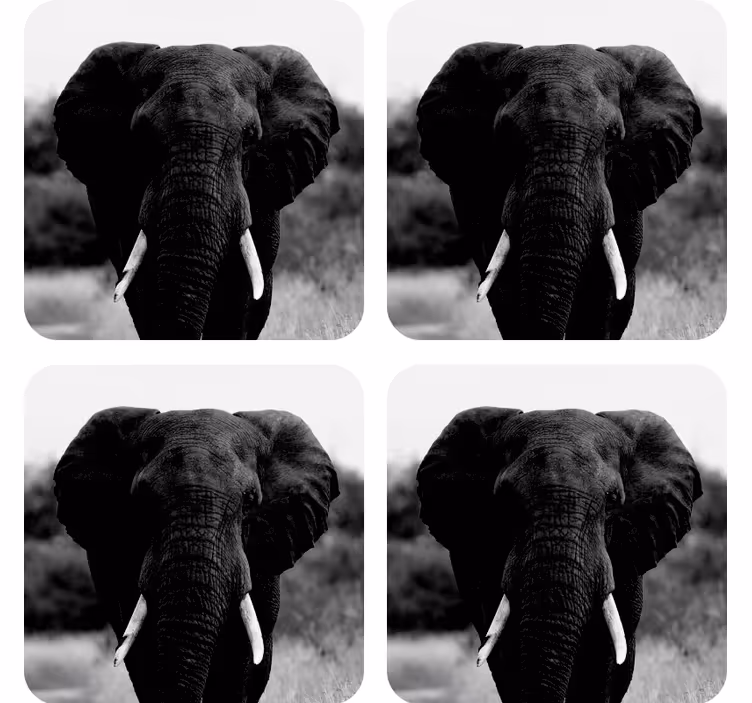 Sous verre vintage portraits d'éléphants monochromes - TenStickers