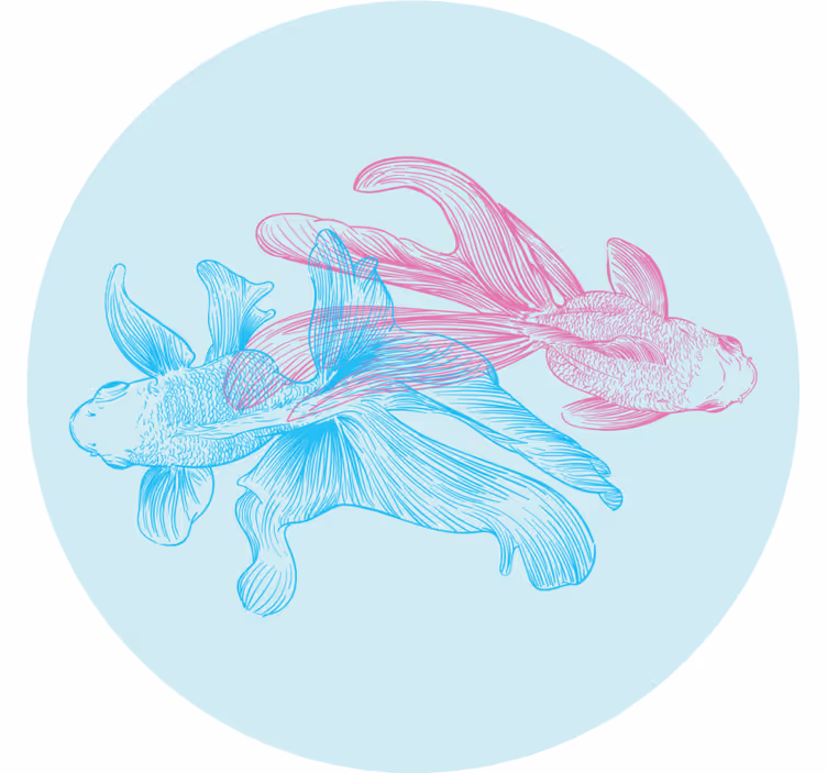 Sous verre geek illustrations de poissons bicolores - TenStickers