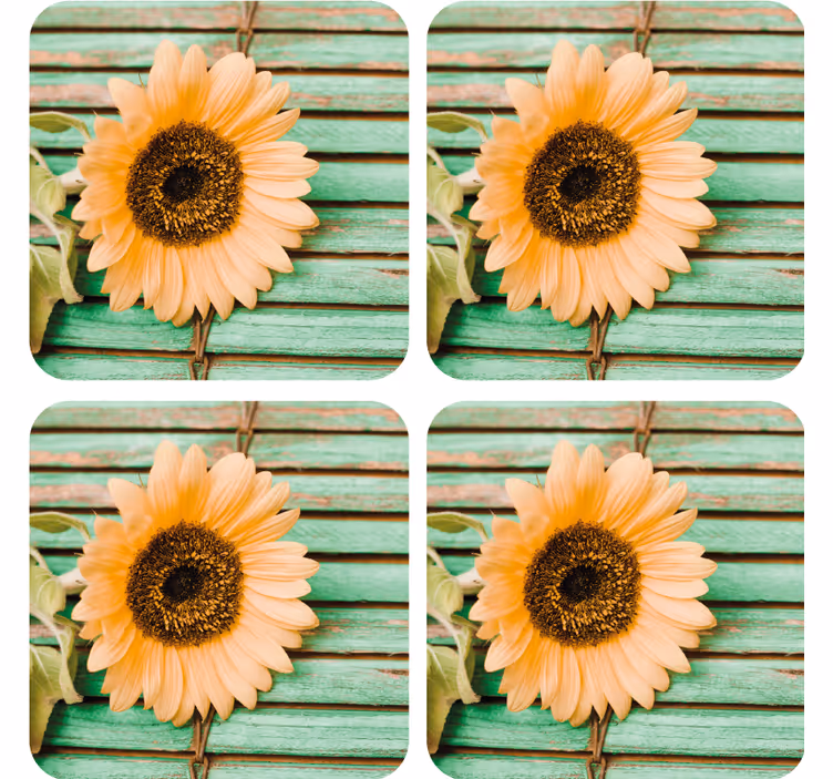 Sous verre moderne tournesol sur fond vert - TenStickers