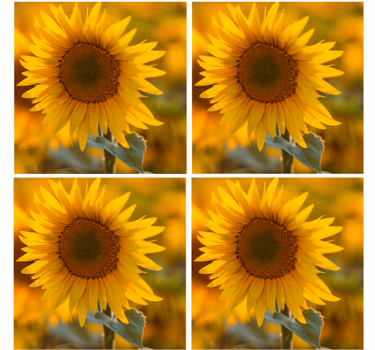 Sous verre moderne arrangement de tournesols vibrants - TenStickers