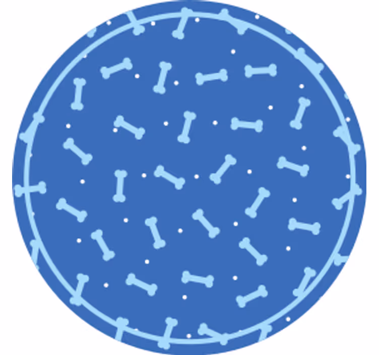 Sous verre motif os en cercle - TenStickers