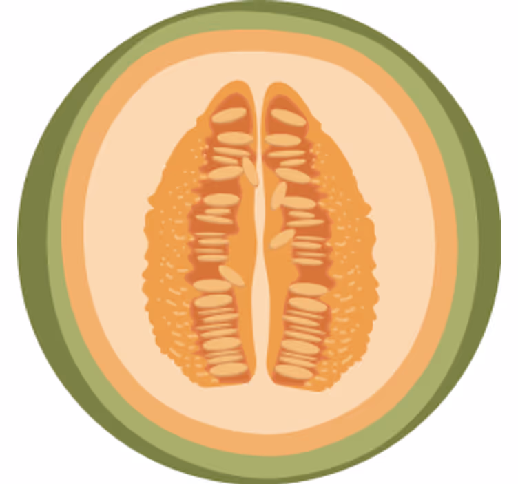 Sous verre geek motifs de tranches de fruits - TenStickers
