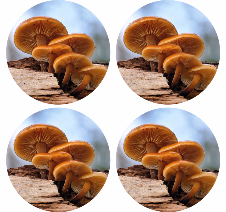 Sous verre moderne arrangement de champignons - TenStickers