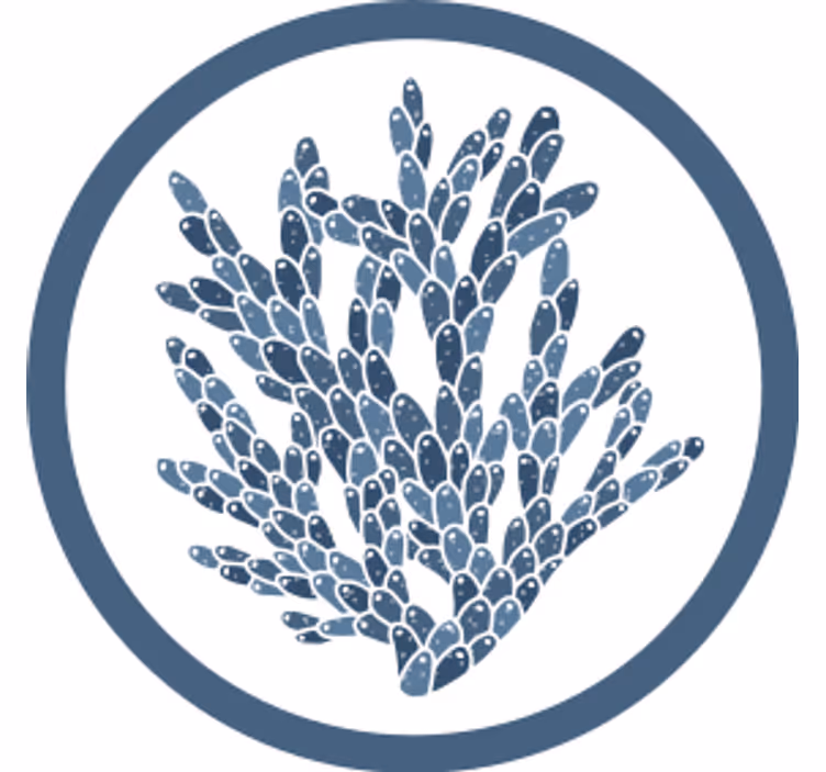 Sous verre motif corail abstrait - TenStickers