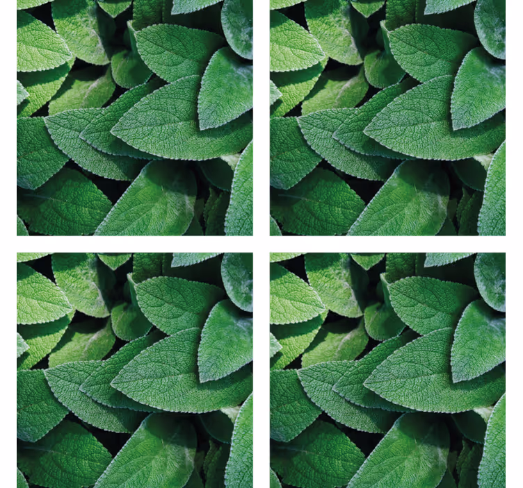 Sous verre motif de feuilles vertes vibrantes - TenStickers