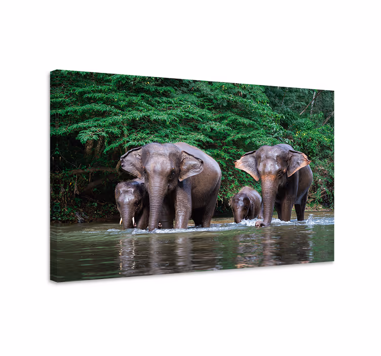 Tableau éléphants jungle avec animaux - TenStickers