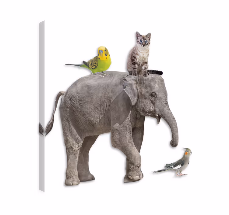 Tableau éléphants et autres animaux variés - TenStickers