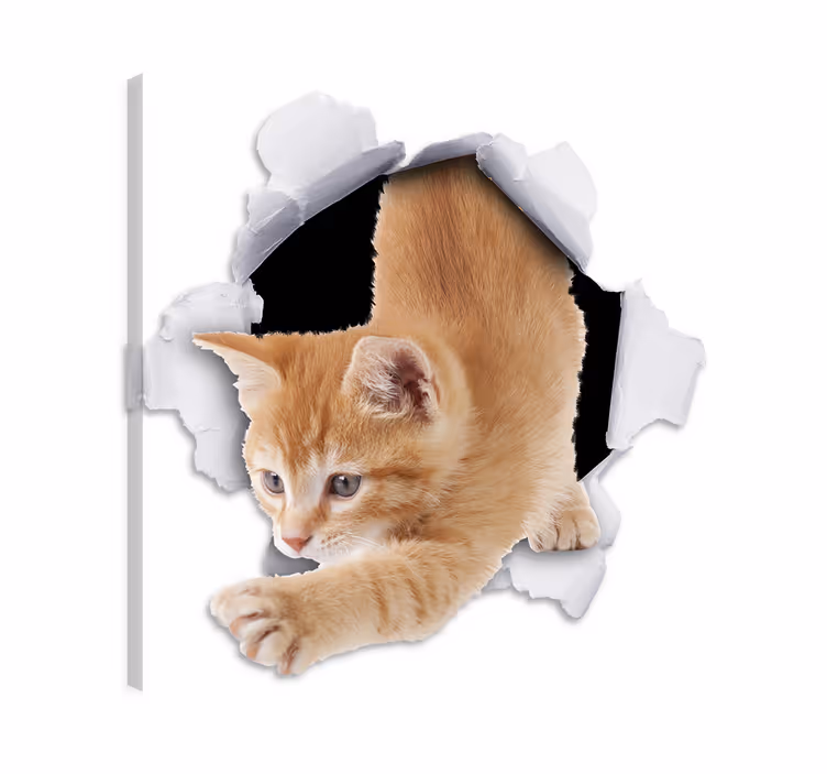 Tableau chat trompe-l'œil décoratif gato - TenStickers