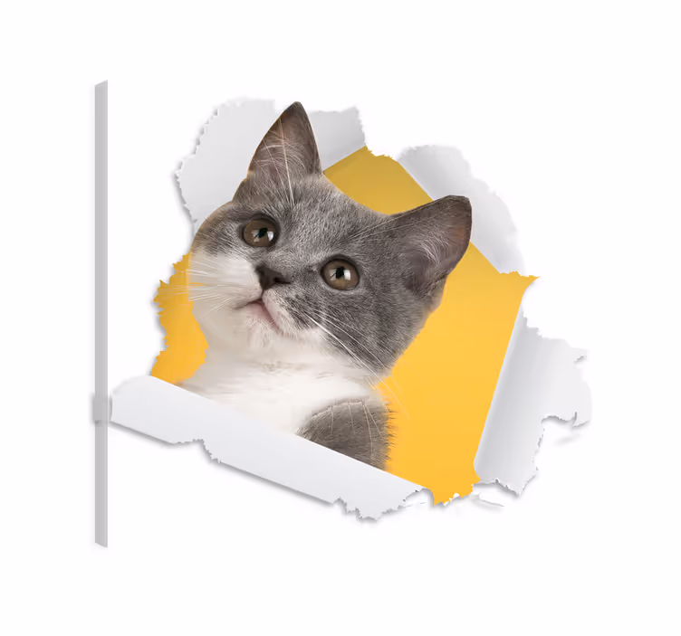 Tableau chat autocollant 3d - TenStickers