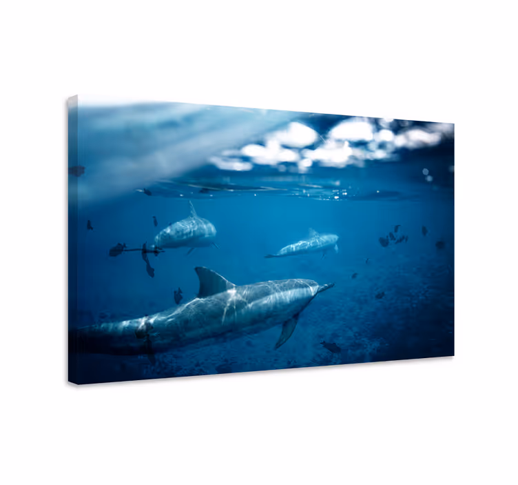 Tableau poissons dauphins et poissons - TenStickers