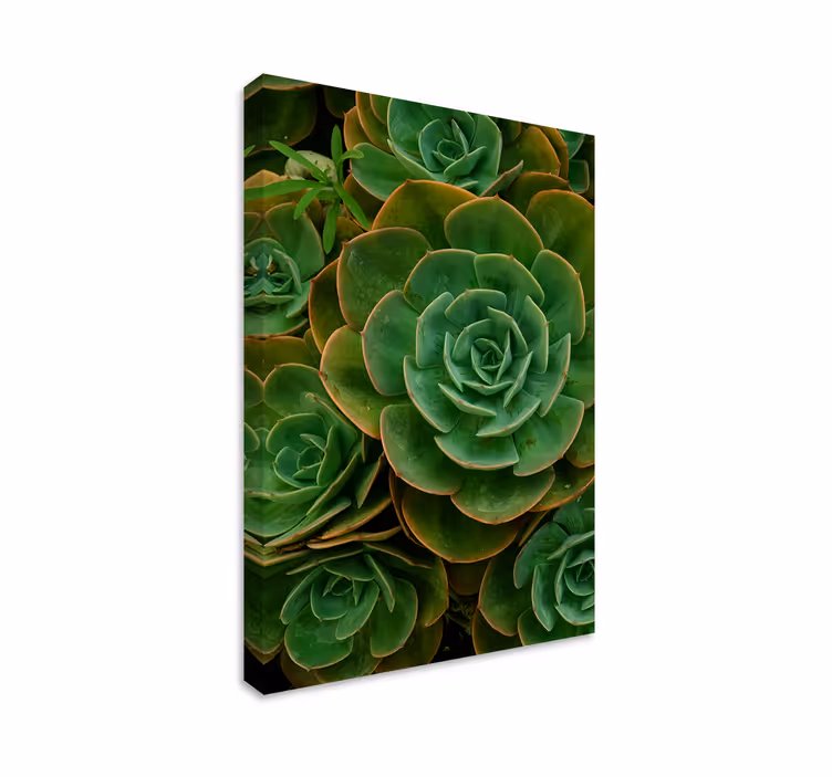 Tableau Conception de cactus - TenStickers