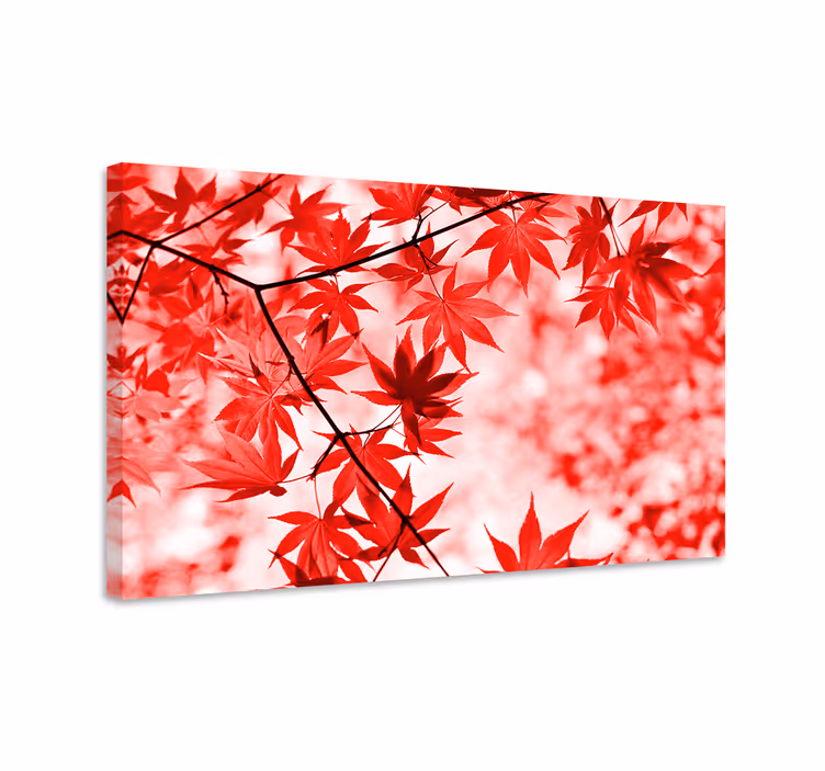 Tableau fleurs et plantes feuilles d'érable rouge vif - TenStickers