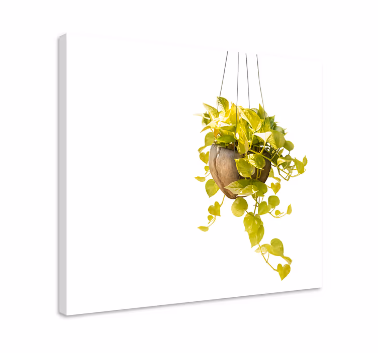 Tableau végétal Panier suspendu - TenStickers