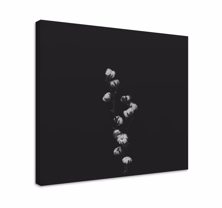 Tableau végétal Coton - TenStickers