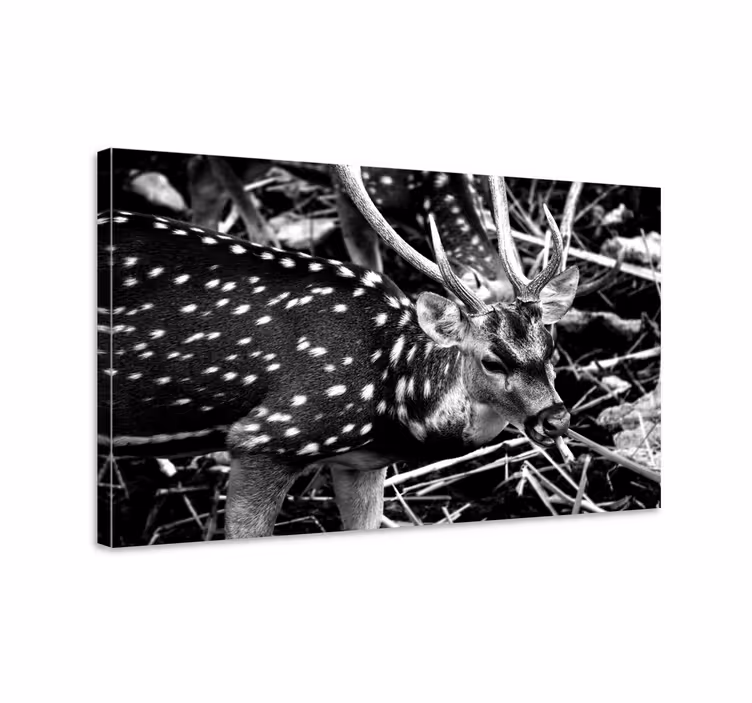 Tableau Cerf noir points blancs - TenStickers