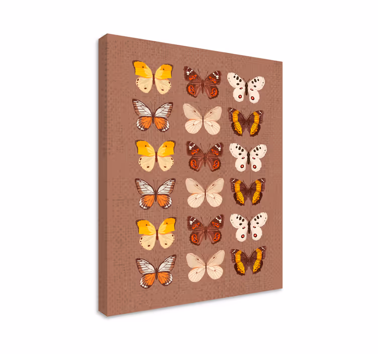 Tableau papillons affichage coloré de papillons - TenStickers