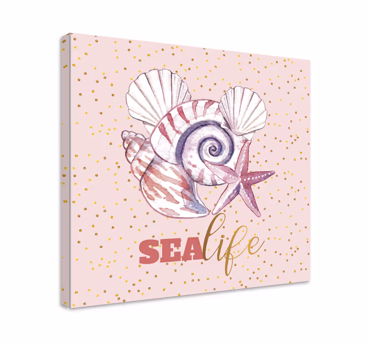 Tableau mer coquillage et étoile de mer - TenStickers