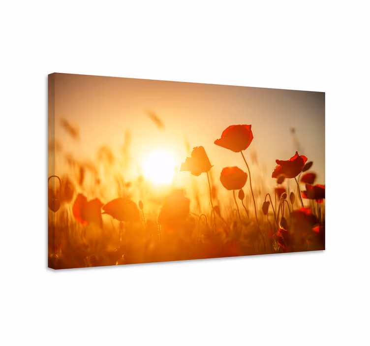 Tableau fleurs Fleurs rouges au coucher du soleil - TenStickers