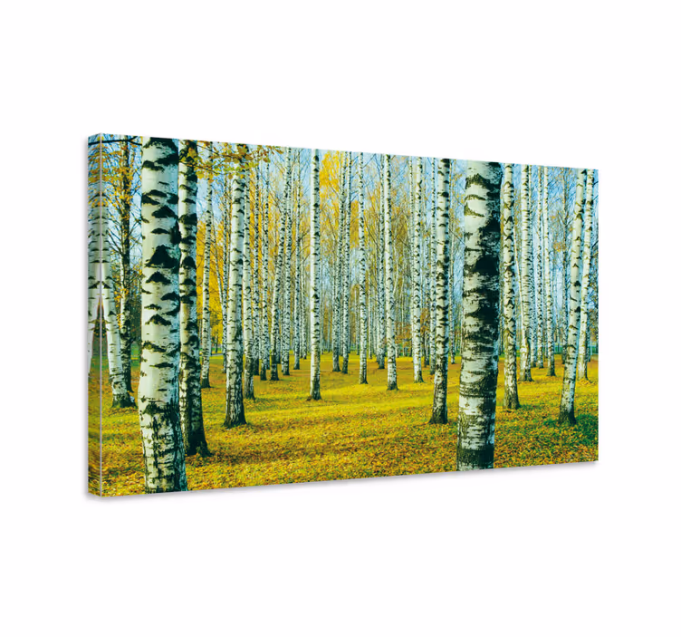Tableau salon Forêt de bouleaux - TenStickers