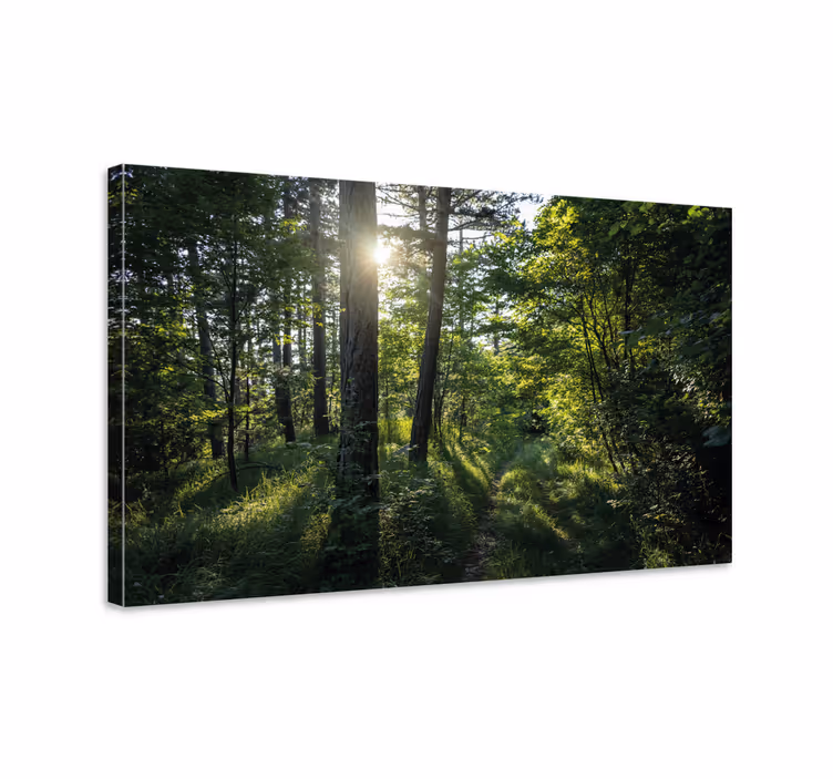 Tableau arbre de vie Arbres et forêt verte - TenStickers