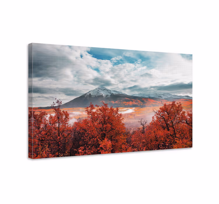 Tableau paysage Moment magique en forêt - TenStickers