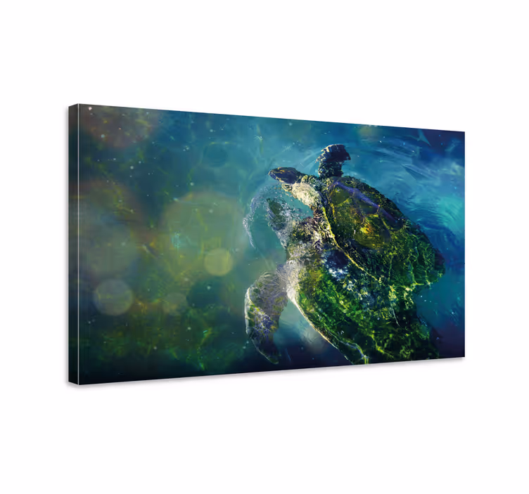 Tableau poisson 2 tortues dans la mer - TenStickers
